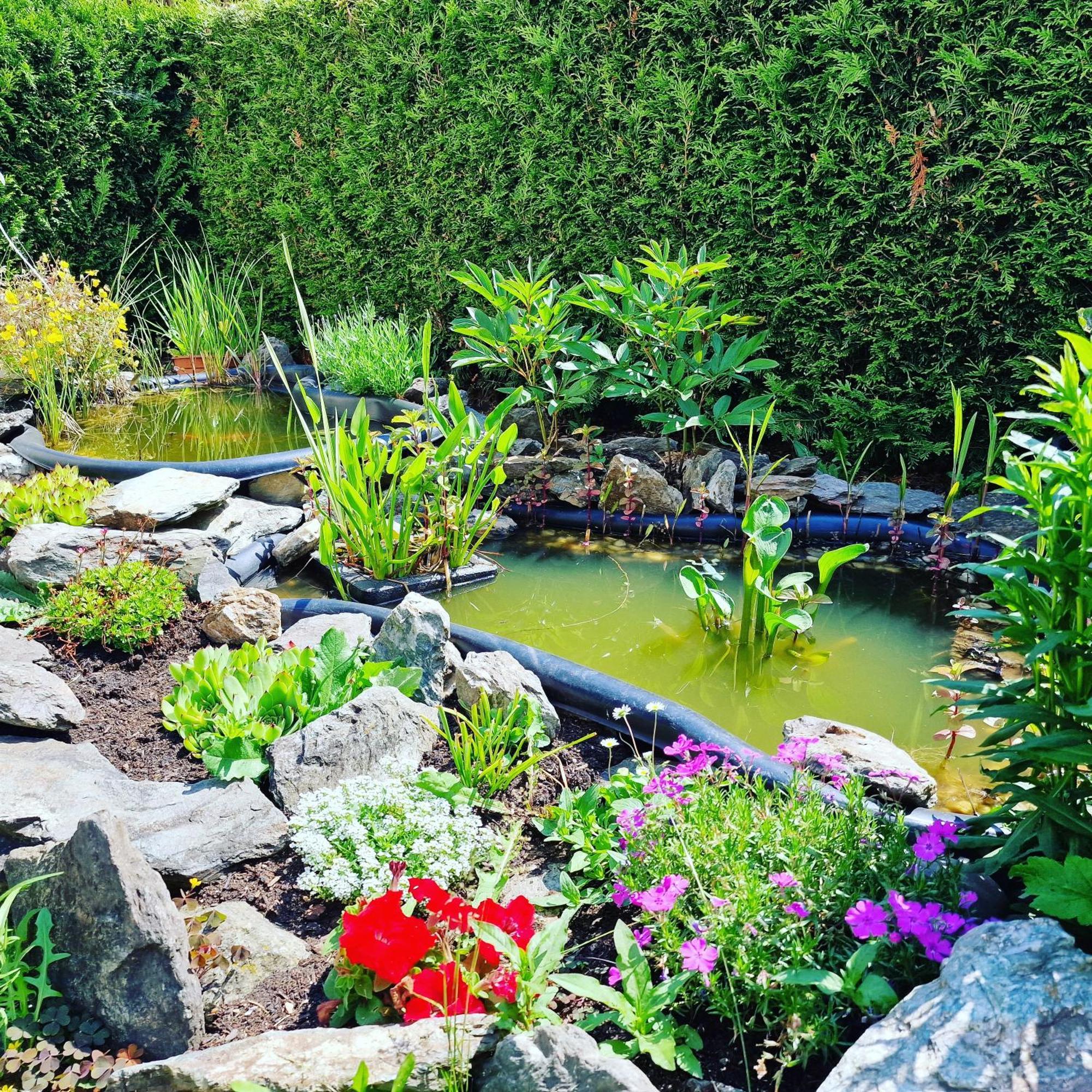 Ferienwohnung Haus Sonnenblick Burkhardtsdorf ภายนอก รูปภาพ